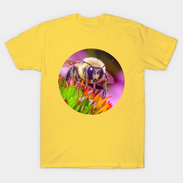 Bumble Bee Tongue Macro Photograph T-Shirt by love-fi